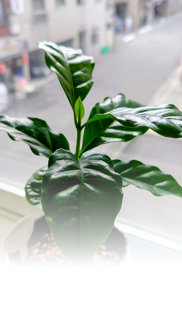 スライド画像1 SP